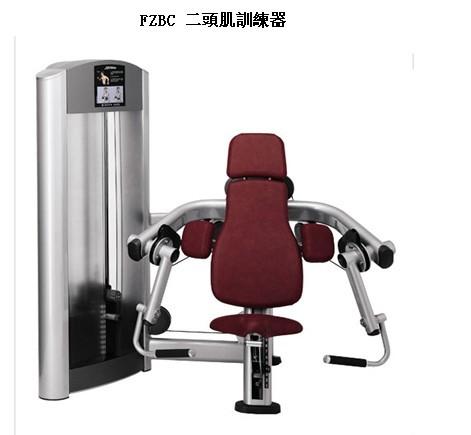 FZBC二頭肌訓(xùn)練器圖片