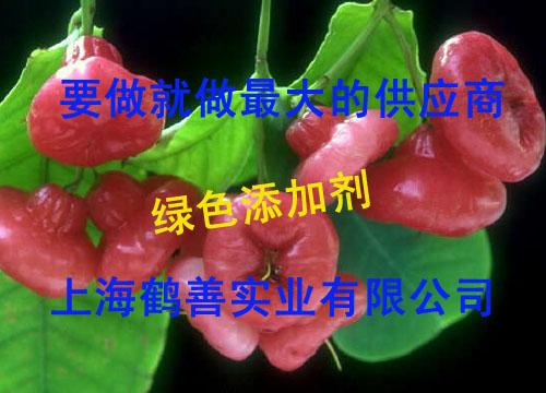 供應(yīng)維生素B1的詳細(xì)說明，維生素B1的分子量