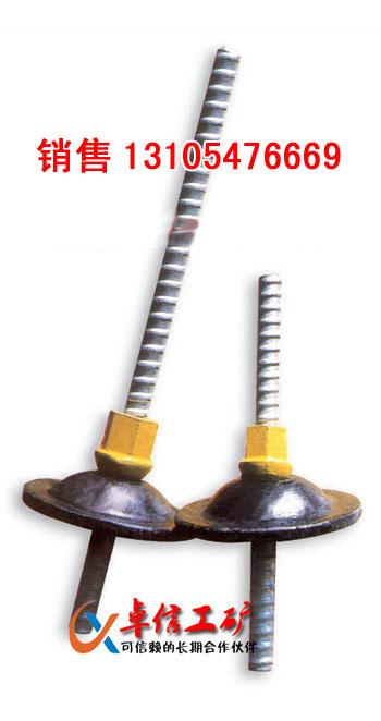 供應螺紋鋼式樹脂錨桿1