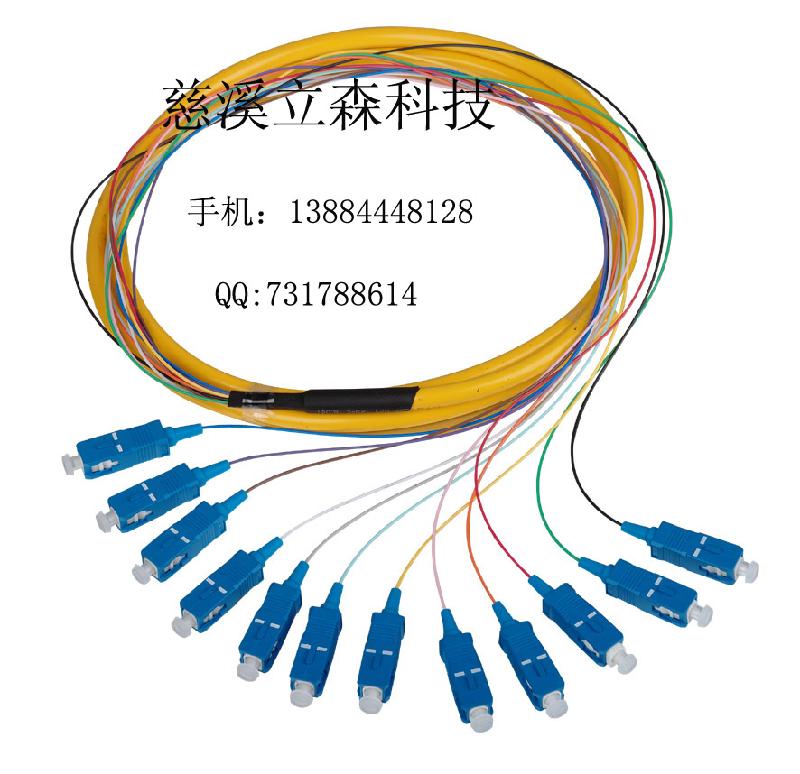 12芯ODF束状尾纤图片