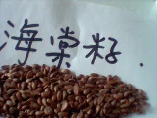 供應(yīng)海棠籽