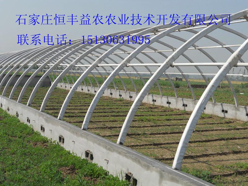 供應(yīng)新型種植大棚骨架技術(shù)