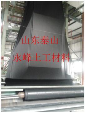 供應(yīng)垃圾填埋場覆蓋HDPE黑綠雙色土工膜1.5mm生產(chǎn)廠家