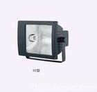 FFd防水防塵防腐泛光燈圖片