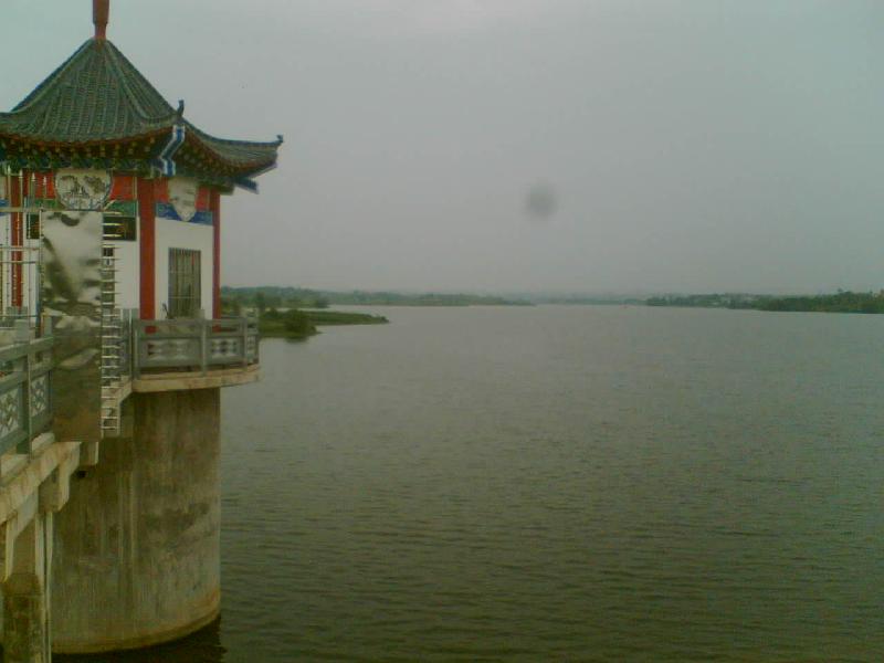 供應(yīng)草魚水花夏花 河南優(yōu)質(zhì)草魚水花夏花批發(fā)