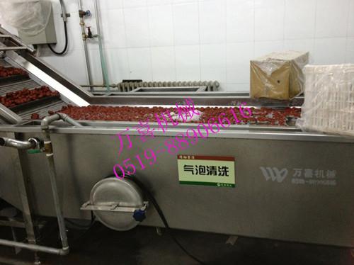 供應(yīng)紅棗清洗機廠商，紅棗清洗機賣家，紅棗清洗機廠家直銷