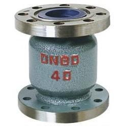 法蘭氨用止回閥圖片