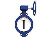 對夾單偏心蝶閥圖片