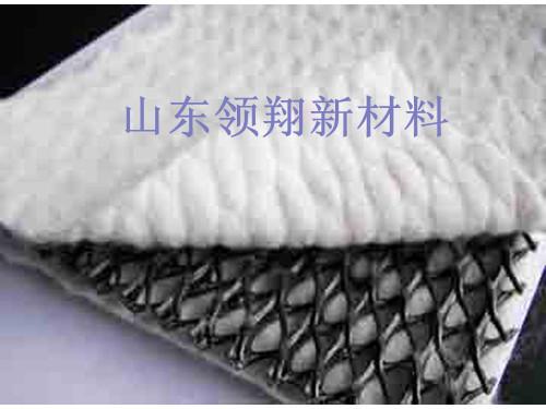 耐酸堿復(fù)合排水網(wǎng) 排水網(wǎng)詢價(jià)