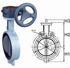 氟密封蝶閥圖片/氟密封蝶閥樣板圖 (3)