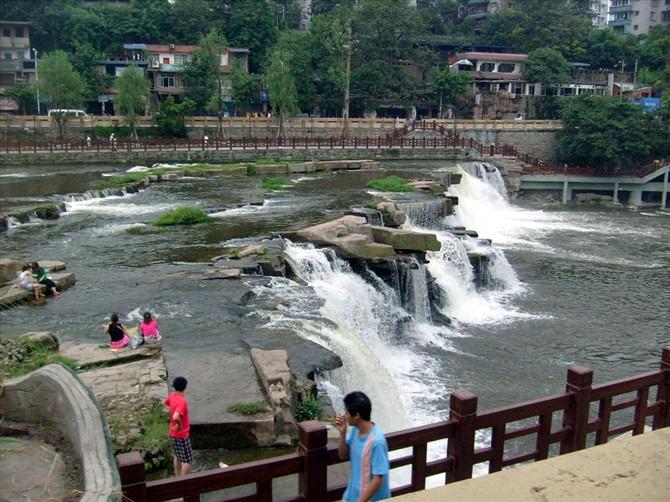 大鲫鱼草鱼鲤鱼图片