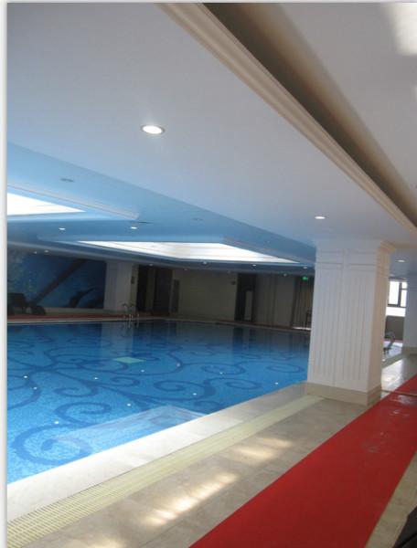 供應(yīng)游泳池百合花拼圖馬賽克，專業(yè)供應(yīng)設(shè)計(jì)，生產(chǎn)，提供效果圖參考，廠家