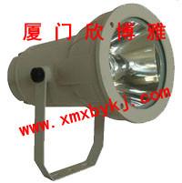 供應(yīng)卡口閃光燈