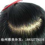 假發(fā)套、手鉤假發(fā)、真人發(fā)發(fā)套、滄州市定做假發(fā)、衡水定做假發(fā) 濱州補發(fā)