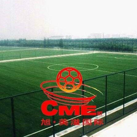 供應(yīng)人造塑料草坪