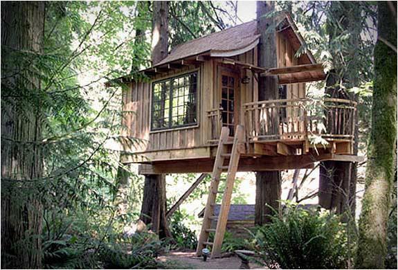 供應(yīng)樹屋-樹屋價格-樹屋價錢