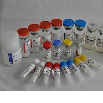 供應(yīng)重組蛋白酶K