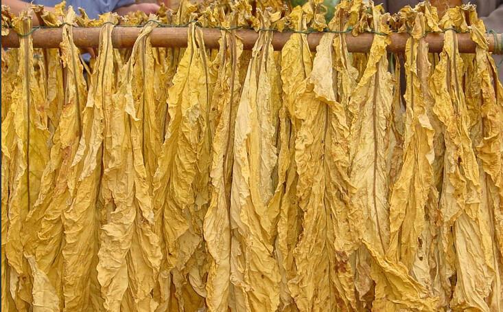 供應空氣能熱泵熱泵煙葉烘烤設(shè)備 歐卡能空氣能熱泵熱泵煙葉烘烤設(shè)備