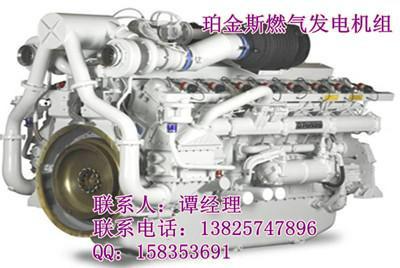 沼氣發(fā)電機(jī)組圖片/沼氣發(fā)電機(jī)組樣板圖 (4)