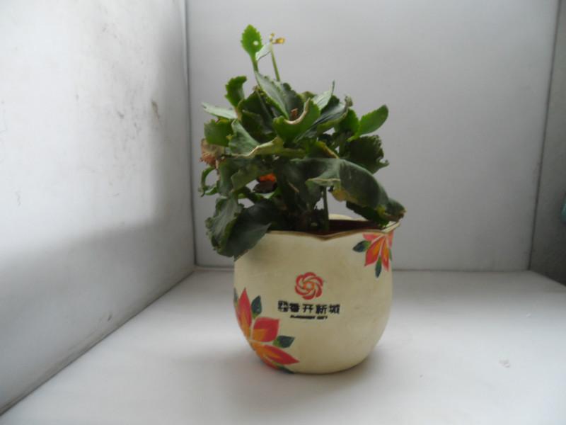 供應(yīng)樹脂工藝品花缸