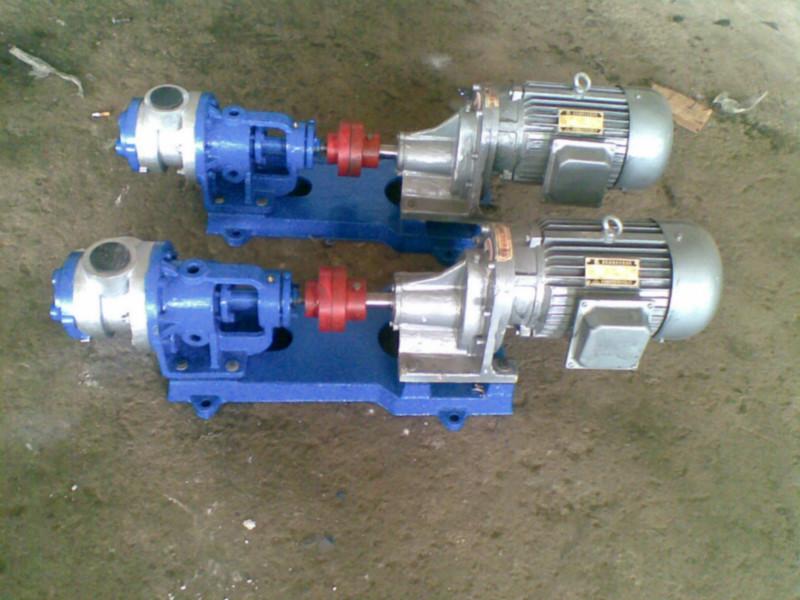 北京八方泵業(yè)NYP高粘度轉(zhuǎn)子泵圖片