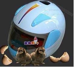 供應(yīng)寵物店迷你全自動孵化器發(fā)熱線