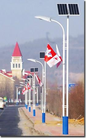 新農(nóng)村路燈圖片/新農(nóng)村路燈樣板圖 (4)