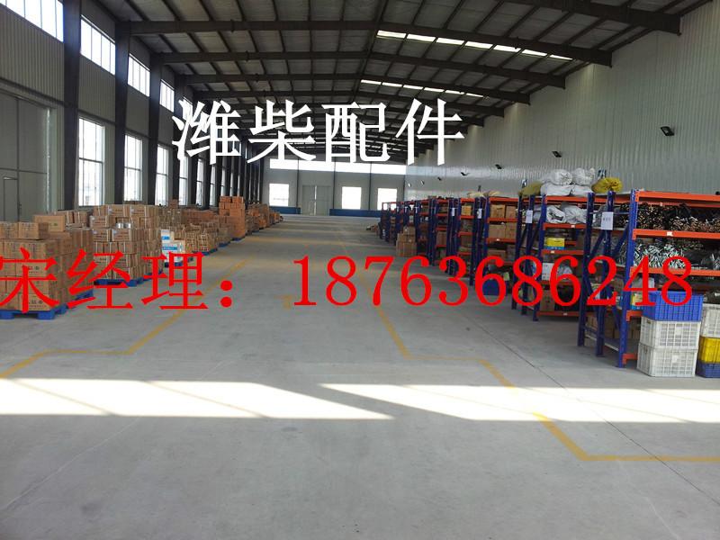 供應山東濰柴4100噴油泵高壓油泵18763686248