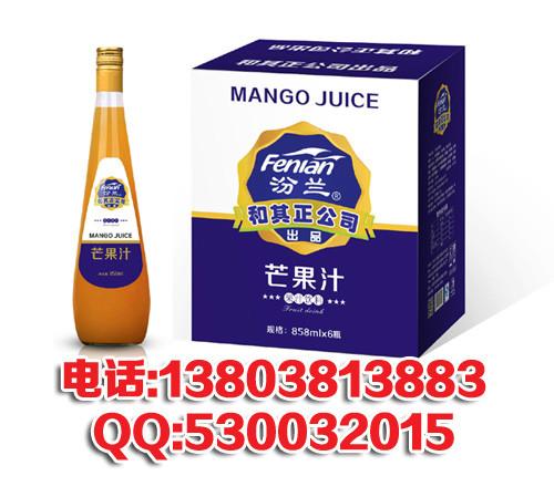 果漿飲料圖片/果漿飲料樣板圖 (3)