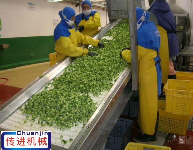 供應(yīng)平面網(wǎng)帶輸送機(jī)的制造和安裝