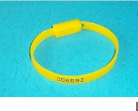 供應(yīng)天津一次性鎖，天津一次性鎖生產(chǎn)