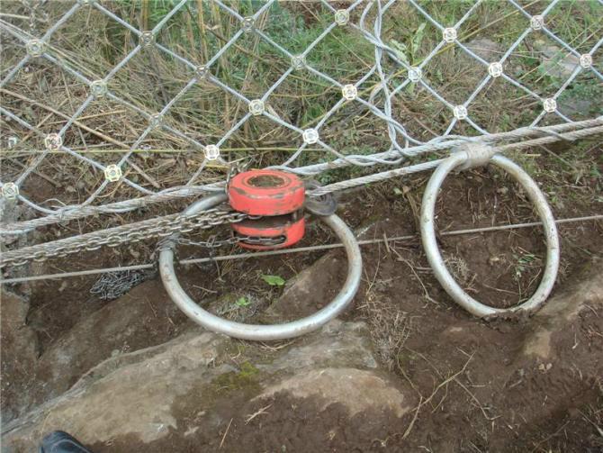 邊坡防護(hù)網(wǎng)圖片/邊坡防護(hù)網(wǎng)樣板圖 (2)