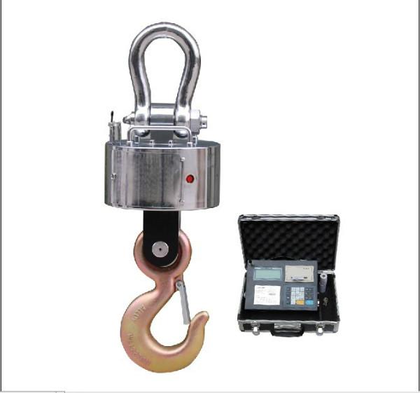 供應(yīng)耐高溫電子吊秤