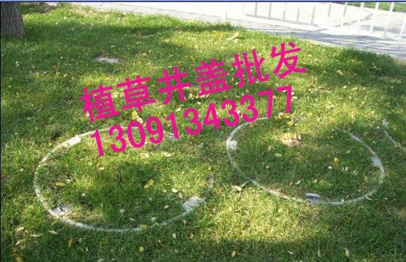 供應(yīng)秦皇島葫蘆島隱形井蓋植草井蓋草坪井蓋綠化帶井蓋