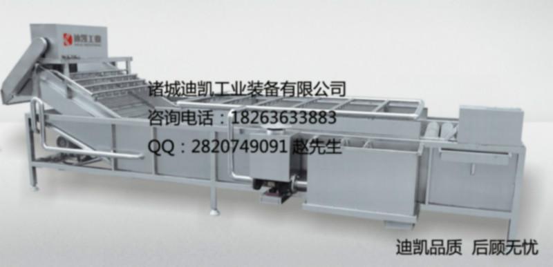 供應(yīng)全自動果蔬清洗機