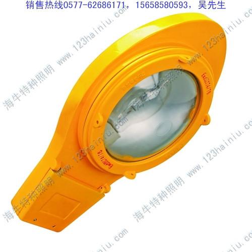 BLC8610防爆道路燈圖片