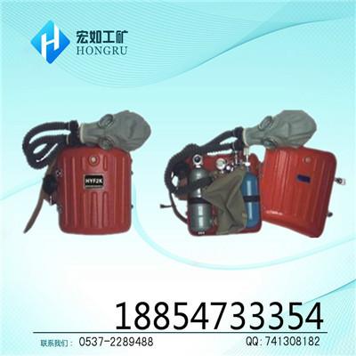 負(fù)壓氧氣呼吸器圖片