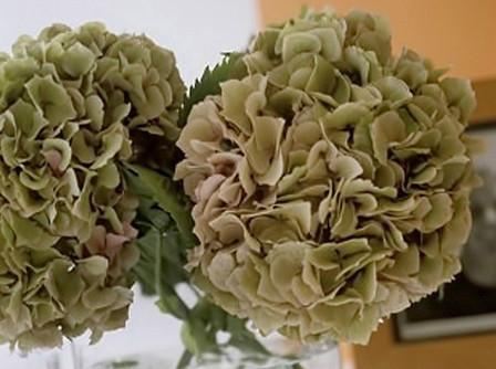 供應繡球鮮花進口報關流程報關公司