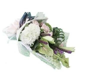 供應(yīng)上海鮮花進(jìn)口外貿(mào)代理