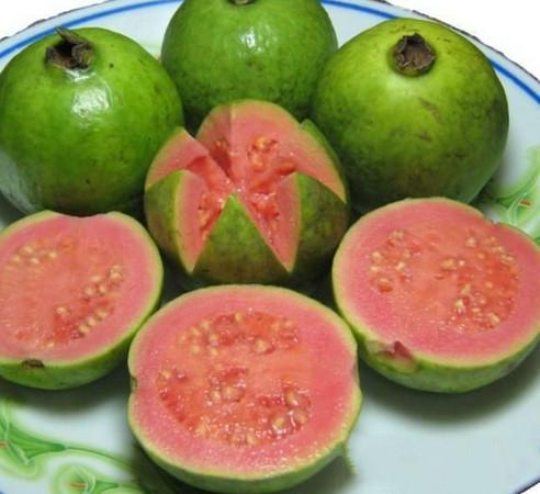 供應(yīng)東南亞水果進口報關(guān)公司