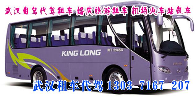 供應(yīng)武漢租中巴車大巴車旅游客車，19-63座旅游客車豪華商務(wù)車