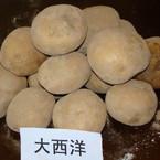 民樂紫皮大蒜圖片/民樂紫皮大蒜樣板圖 (4)