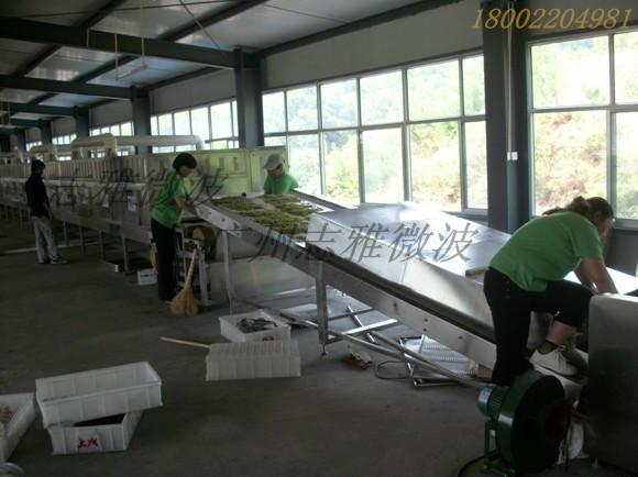 金銀花殺青圖片/金銀花殺青樣板圖 (2)