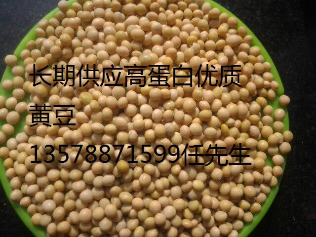 长春市东北黑龙江690芽豆厂家