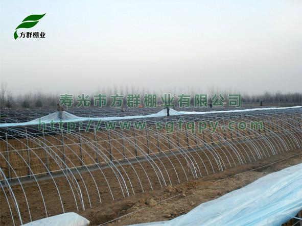 大棚溫室建設(shè)圖片