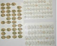 供應(yīng)表格印刷