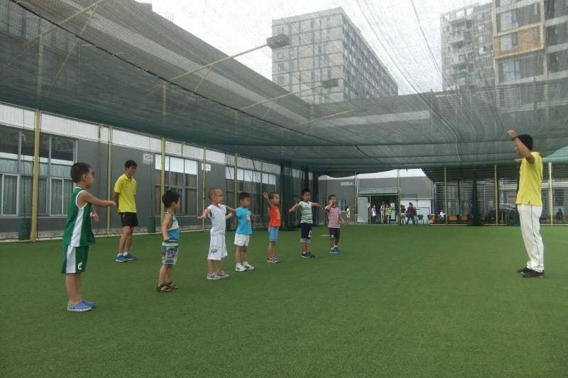 遮陽網(wǎng)圖片/遮陽網(wǎng)樣板圖 (3)