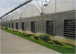 供應(yīng)車間負(fù)壓風(fēng)機(jī)