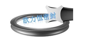 供應(yīng)X型密封圈XR星型圈