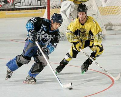 供應(yīng)無錫輪滑場(chǎng)*拼裝運(yùn)動(dòng)地板